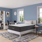 Modway - Aveline 14 po Mousse à mémoire de forme Matelas complet-La mousse est certifiée CertiPUR-US et sans fibre de verre