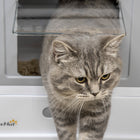 PawHut - Bac à litière fermé pour chat avec pelle, plateau, entrée par le dessus, pliable - gris-L’espace intérieur améliore le confort 