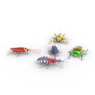 Hex Bots - Ensemble de 5 insectes réalistes-PILES INCLUSES : 2 piles bouton LR44 sont incluses pour que vous puissiez vous amuser comme des fous avec ces jouets rampants Hex Bugs.