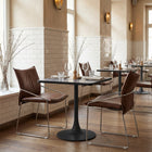 Zuo - Pola Chaise de salle à manger - Brun - Ensemble de 2-Supporte jusqu'à 440 lb