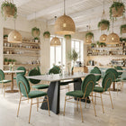 Zuo - Odessa Chaise de salle à manger - Vert/Or - Ensemble de 2-Supporte jusqu'à 350 lb