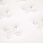 Modway - Jenna 8 po Ressorts et mousse Matelas simple étroit-8