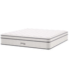 Modway - Jenna 14 po Ressorts et mousse Matelas California King-Housse matelassée pour oreiller