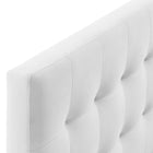 Modway - Lily Biscuit Touffé Performance Velvet Tête de lit Queen, Blanc-Rembourrage en mousse dense