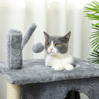 PawHut - Arbre à chat 31,5 po avec 2 condos - multi-niveaux pour chatons-Comprend une balle suspendue amovible et ludique, offrant des heures de divertissement interactif 