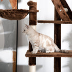 PawHut - Arbre à chat géant 94 po-102 po, tour haute jusqu’au plafond, marron-2 x dimensions du condo : 17,7 po L x 13,8 po l x 9,8 po H 