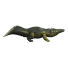 Mattel - Assortiment de Jurassic World Saga rugissement féroce-6