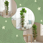 HOMCOM - Arbre artificiel de figuier à feuilles de violon 6 pi pour décoration intérieure - vert - lot de 2-Une base lestée assure la stabilité, la rendant sûre pour les enfants et les animaux de compagnie 