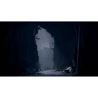 REANIMAL pour PlayStation 5-7