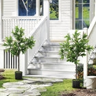 HOMCOM - Plantes artificielles 36 po avec 345 feuilles, lauriers réalistes - vert - lot de 2-Comprend 345 feuilles en PEVA et des branches en fil de fer pour un arbre de laurier artificiel au rendu naturel 
