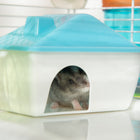 PawHut - Cage pour hamster 31 po L avec système de tubes tunnels - Blanc-Matériau : Fil d’acier, PP, PS