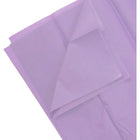 JAM Paper - Papier de soie - Violet Lilas - 100 feuilles-Taille : 20 x 26 (standard) | Convient parfaitement aux sacs et boîtes cadeaux de toutes tailles