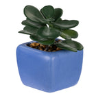 Pep Rally - Mini fausse plante - bleu-Plante synthétique réaliste pour une apparence naturelle sans entretien
