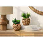 Monarch Specialties - 9369 Succulente Artificielle 9" de Haut - Panier Tissé Marron - Ensemble de 2-Conçues avec des matériaux respectueux de l'environnement, cet ensemble de plantes constitue une option de décoration durable qui s'intègre parfaitement comme accent pour la maison ou le bureau