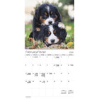 DateWorks - 2026 Calendrier Mural 16 Mois - 12 po x 12 po - Chiots - Bilingue -Animaux