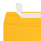Jam Paper - Enveloppes de qualité supérieure Open End Catalog – 9 po H x 12 po l, Jaune tournesol – Paquet de 50-Les enveloppes ont un rabat gommé et aucun fermoir pour une fermeture facile