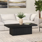 Hudson&Canal - Table basse rectangulaire Torren 48" L - Grain noir-Caractéristiques assemblage facile