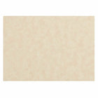 JAM Paper - Cartes de correspondance plates vierges - 3-1/2 po x 4-7/8 po (convient aux enveloppes A1 4 barres) - Parchemin naturel - paquet de 50-Couleur : parchemin naturel.