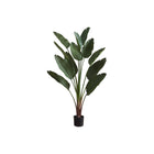 Monarch Specialties - Plante Artificielle - 83 po Heur - Palmier - Touche Réelle - Feuilles Vertes - Pot Noir-Une superbe plante artificielle d'oiseau de paradis de 83 pouces de haut avec 12 feuilles vertes au toucher réel qui apporte une touche de nature à l'intérieur