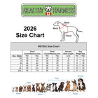 Healthy Harness - Harnais pour chien Ultimate Urban Premium - Argent - M-Plusieurs points d'attache pour la laisse : un mousqueton à l'avant pour le dressage, un mousqueton à l'arrière pour les promenades occasionnelles et une poignée robuste pour les urgences