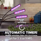 Bell+Howell - Lampe de croissance pour plantes d'intérieur Growburst-Caractéristiques: 3 panneaux, chacun avec col de cygne flexible 15” câble usb inclus bouton marche arrêt minuterie auto 3 6 ou 9 h pas de piles nécessaires
