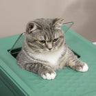 PawHut - Bac à litière fermé pour chat avec pelle, plateau, entrée par le dessus, pliable - vert-L’espace intérieur améliore le confort 