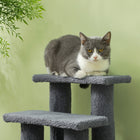 PawHut - Escalier pour animaux à 4 marches multi-niveaux avec poteau à griffer recouvert de tapis - gris-Couleur : Gris 