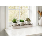 Monarch Specialties - 9373 Succulente Artificielle 6" de Haut - Pots Beiges - Ensemble de 3-Sans besoin d'entretien, elles apportent une verdure durable sans arrosage, lumière du soleil ou soin
