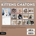 DateWorks - 2026 Mini Calendrier Mural 16 Mois - 7 po x 7 po - Chatons Câlins - Bilingue -13 images de haute qualité imprimées sur du papier Premium