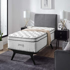 Modway - Jenna 14 po Ressorts et mousse Matelas simple-Bobines enveloppées individuellement de 9,84 po