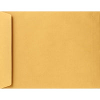 LUX - Enveloppes 13 x 19 po, très grandes, 28 lb, brun kraft, 250/boîte (22663-250)-Les enveloppes grand format de mesurant 13 x 19 sont idéales pour les projets d?art, les cartes, les vêtements, les échantillons, les vidéos, les documents de marketing, les articles promotionnels, les gros cadeaux et les documents grand format.