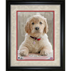 Montreal Canadiens 12.5X15 Dog impression - Impression encadree - 12" x 15"-Qualité supérieure - virtual frames