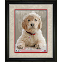 Montreal Canadiens 12.5X15 Dog impression - Impression encadree - 12" x 15"-Qualité supérieure - virtual frames