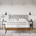 Modway - Jenna 14 po Ressorts et mousse Matelas California King-Couche de mousse respirante de 3 po