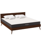 Modway - Aveline 8 po Matelas King-Comprimé et scellé sous vide dans une boîte