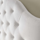 Modway - Sovereign Touffe de diamant Performance Velvet Tête de lit Queen, Blanc-Rembourrage en mousse dense