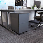 Ceha Canada - Coffrets métalliques à 2 tiroirs - Noir-CONSTRUCTION DURABLE : Fabriquée en acier avec une finition résistante aux rayures, cette armoire de classement garantit une durabilité à long terme