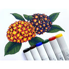 Copic - Sketch marqueurs à encre double pointe - primaires parfaites - lot de 6-5