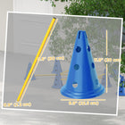 PawHut - Ensemble portable de cônes d’obstacles d’agilité pour chien, avec 8 cônes et 8 barres, sac de transport - bleu-Barres et cônes faciles à démonter pour un transport aisé 