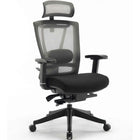 MotionGrey - Cloud Mesh Series - Chaise de bureau ergonomique pour bureau d'ordinateur executif - Noir-Support dorsal ergonomique
