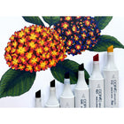 Copic - Sketch marqueurs à encre double pointe - primaires parfaites - lot de 6-6