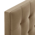Modway - Lily Velours de performance résistant aux taches Tête de lit Queen size, Taupe-Assemblée requise