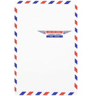 JAM Paper Enveloppes pour correspondance aérienne à ouverture au sommet, 6 x 9 po, 25/paquet-Enveloppes conçues pour la correspondance aérienne