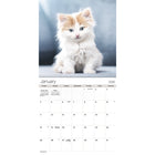 DateWorks - 2026 Calendrier Mural 16 Mois - 12 po x 12 po - Chatons Câlins - Anglais -Septembre 2025 - Décembre 2026
