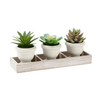 Monarch Specialties - 9373 Succulente Artificielle 6" de Haut - Pots Beiges - Ensemble de 3-Apportez une touche décorative organisée à votre espace avec cet ensemble de 3 plantes succulentes artificielles, soigneusement conçu pour créer une présentation harmonieuse sur n'importe quelle table ou surface