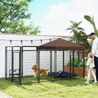 PawHut - Chenil extérieur pour grands et moyens chiens, noir-Espace supplémentaire pour permettre aux animaux de jouer 