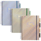 Pukka Pad - Pukka Haze B5 Livre de projet - Couleurs assorties-Brillez de tous vos feux:chaque carnet contient une citation inspirante différente pour vous motiver - Pensées positives uniquement , Le meilleur est à venir , Appréciez les petites choses