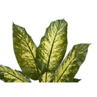 Monarch Specialties - Plante Artificielle - 47 po H - Arbre À Feuilles Persistantes - Touche Réelle - Feuilles Vertes - Pot Noir-Garantie limitée de 5 ans contre les défauts de fabrication