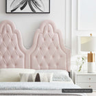 Modway - Augustine Touffe Performance Velvet Tête de lit jumelée, Rose-Assemblée requise