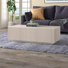 Hudson&Canal - Table basse rectangulaire Reyes 48" L - Blanc aulne-Finition en blanc aulne aspect bois
